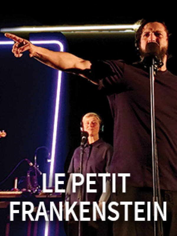 Affiche de Le Petit Frankestein