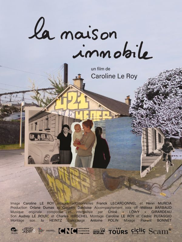Affiche LA MAISON IMMOBILE