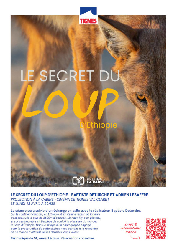LE SECRET DU LOUP D'ETHIOPIE