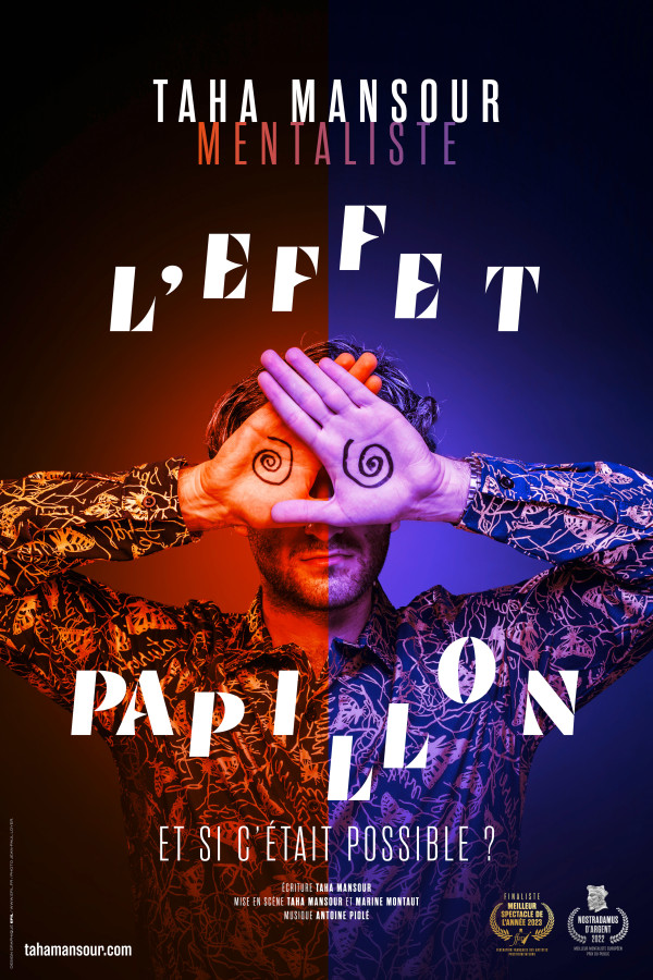 Affiche de L'Effet Papillon