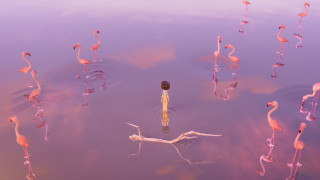Vignette du film La Fille dans les nuages