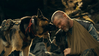 Vignette du film Heart of the Beast