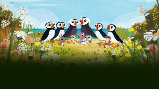 Vignette du film Nouveaux copains à Puffin Rock