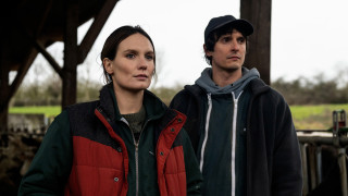 Vignette du film La guerre des prix