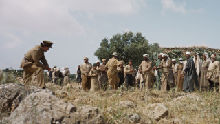 Vignette du film Palestine 36