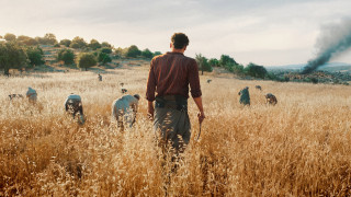 Vignette du film Palestine 36
