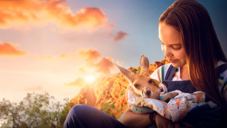 Vignette du film Charlie et les Kangourous