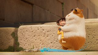 Vignette du film La Fille dans les nuages