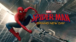Vignette du film Spider-Man : Brand New Day