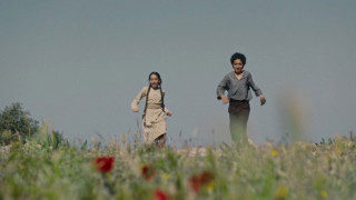 Vignette du film Palestine 36