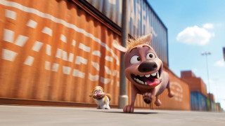 Vignette du film Mochy