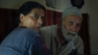 Vignette du film Palestine 36