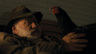 Vignette du film Cocotte
