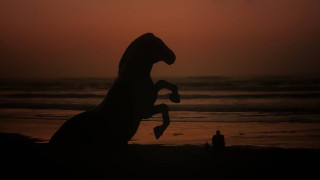 Vignette du film L&rsquo;Odyssée
