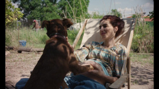 Vignette du film Sorda