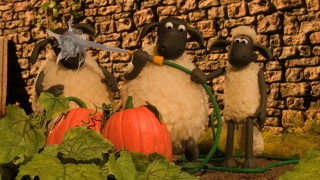 Vignette du film Shaun le Mouton : La Bêêête d&rsquo;Halloween