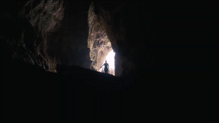 Vignette du film L&rsquo;Odyssée