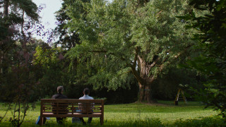 Vignette du film Silent Friend