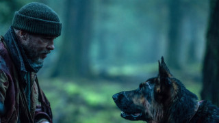 Vignette du film Heart of the Beast