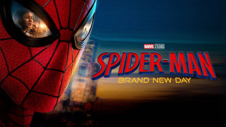 Vignette du film Spider-Man : Brand New Day