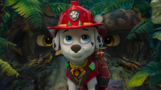 Vignette du film La Pat&rsquo; Patrouille : Le film mission Dino