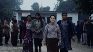 Vignette du film LES ELEPHANTS DANS LA BRUME