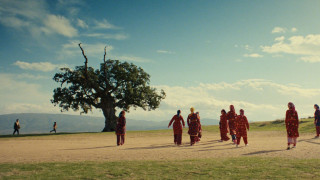 Vignette du film Le garçon qui faisait danser les collines