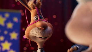 Vignette du film Walter Lapin