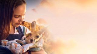 Vignette du film Charlie et les Kangourous