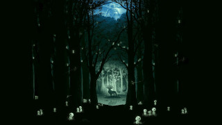 Vignette du film Princesse Mononoke