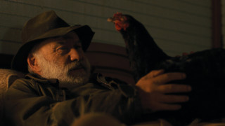 Vignette du film Cocotte