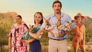 Vignette du film Charlie et les Kangourous