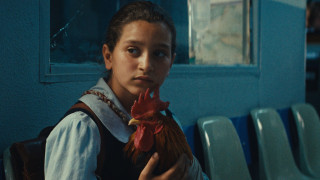 Vignette du film Le Gâteau du Président