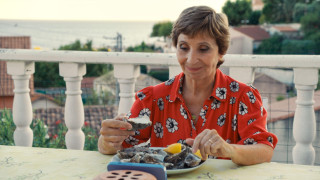 Vignette du film La Pie voleuse