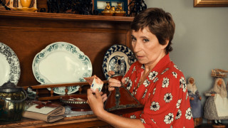 Vignette du film La Pie voleuse