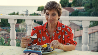 Vignette du film La Pie voleuse