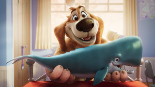 Vignette du film Biscuit le chien fantastique