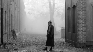 Vignette du film La Jeune femme à l&rsquo;aiguille