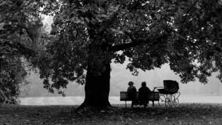 Vignette du film La Jeune femme à l&rsquo;aiguille