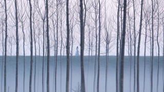 Vignette du film La Grazia