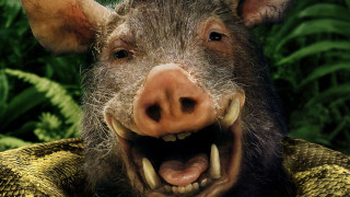 Vignette du film Anaconda