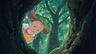 Vignette du film Mon voisin Totoro