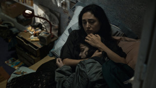 Vignette du film Alpha