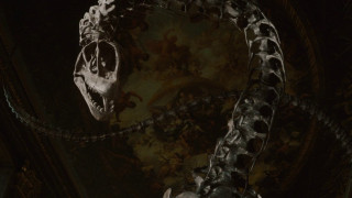 Vignette du film Jurassic World : Renaissance