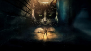 Vignette du film L&rsquo;Homme qui rétrécit