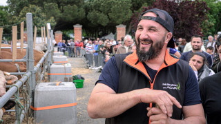 Vignette du film Rural