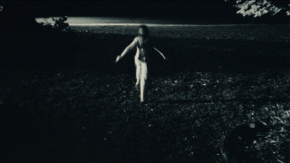 Vignette du film Évanouis