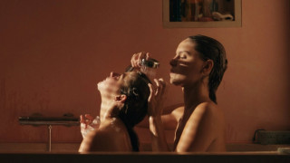 Vignette du film Qui brille au combat