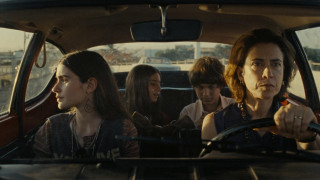 Vignette du film Je suis toujours là