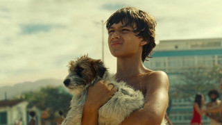 Vignette du film Je suis toujours là